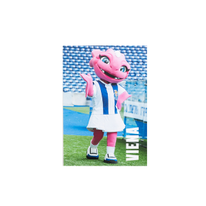 Íman Viena FC Porto
