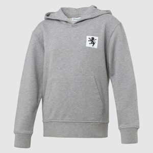 Hoodie Lion Fuse Gray – Criança