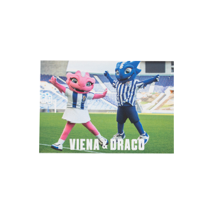 Íman Viena + Draco