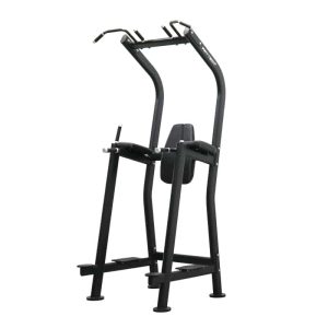 Vertical Knee Raise