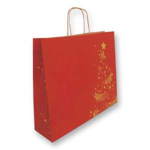 Saco de papel Shiny